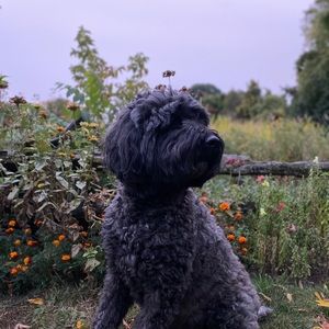 Meet your Posher, Brooke